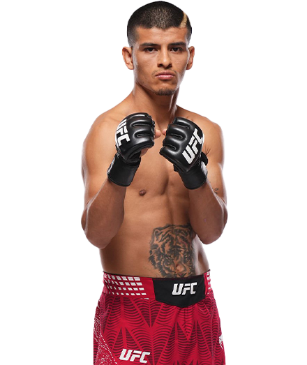 Nilson Rojas