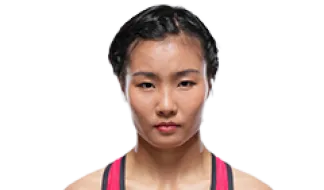 Feng Xiaocan