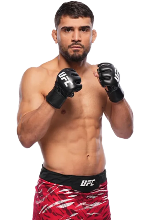 Gidstats ufc