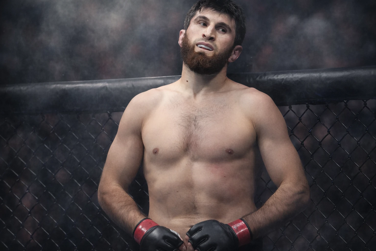 Magomed Ankalaev Heavily Favored Over Khalil Rountree in Abu Dhabi Clash