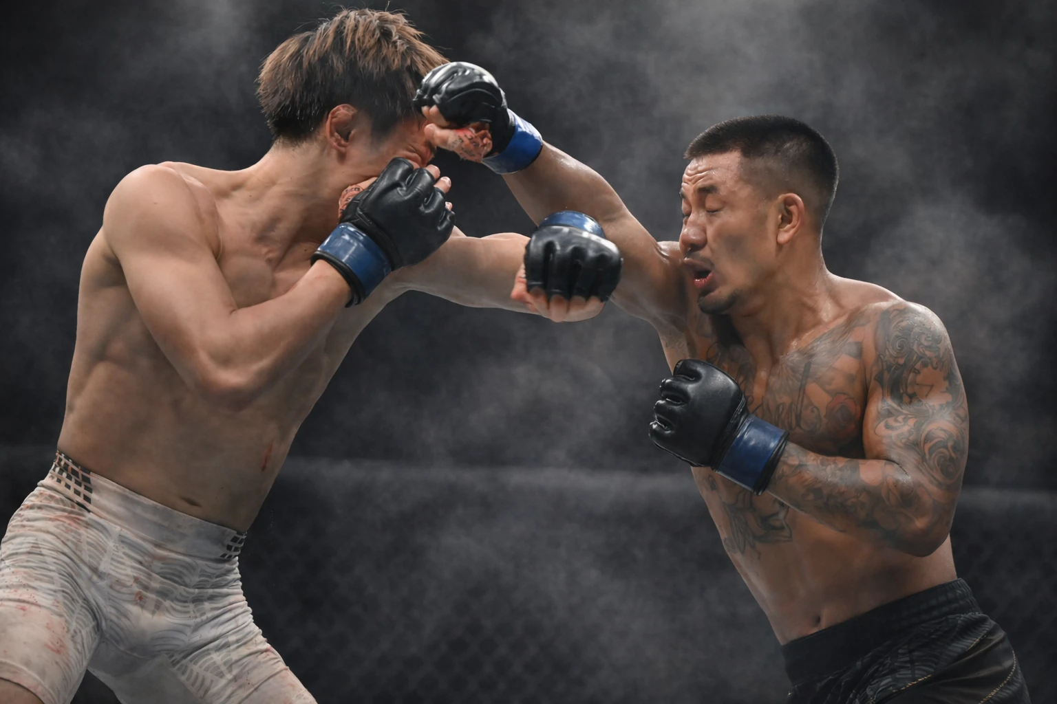 UFC 328: Eight Fighters Cash Bonuses After Wild Night in Newark