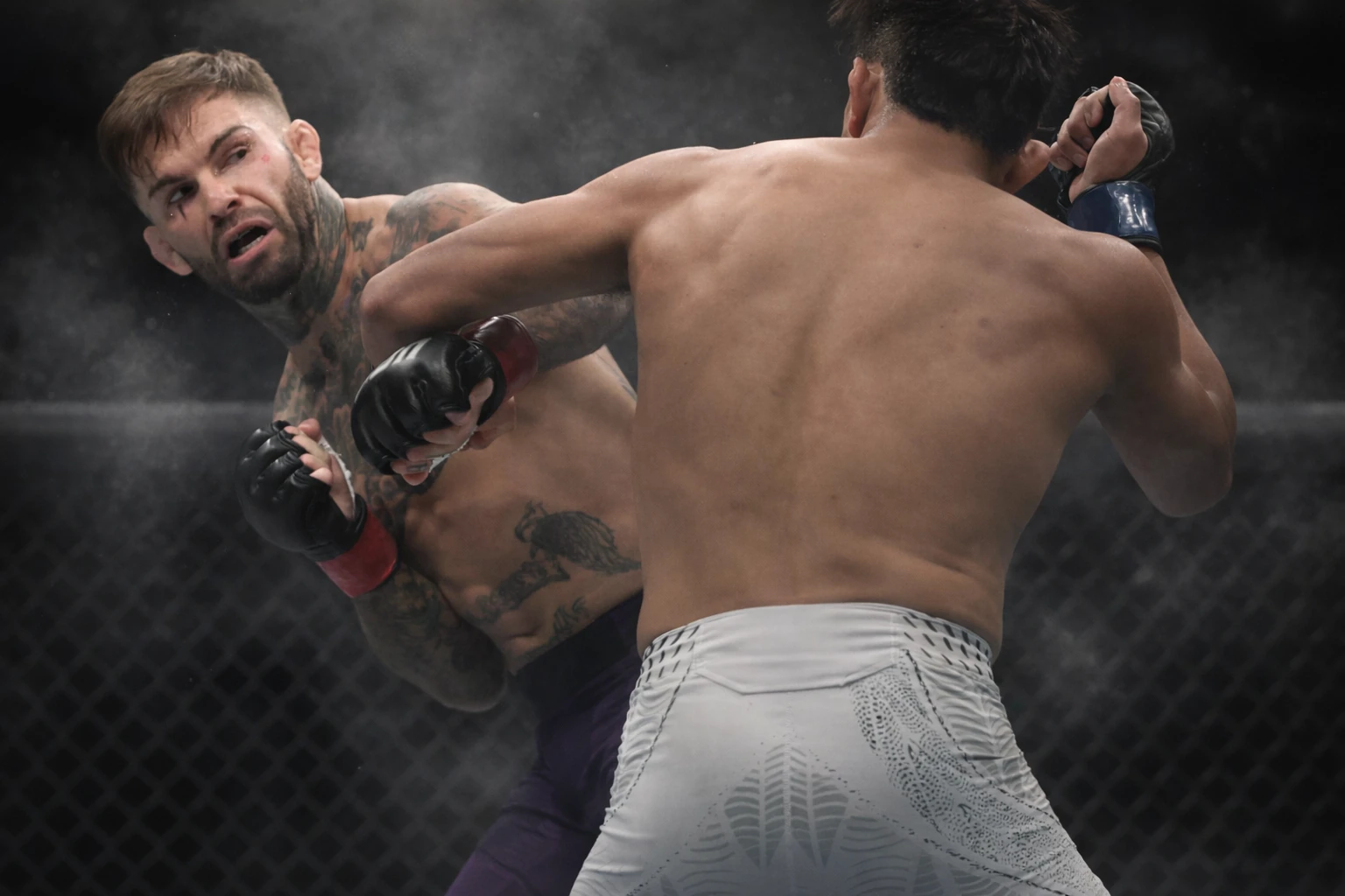 T.J. Dillashaw Calls Cody Garbrandt’s UFC 329 Knockout Loss ‘Depressing’
