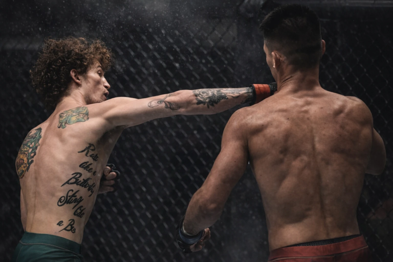 UFC Drops 27-Knockout DWCS Highlight Reel Ahead of Aug. 11 Return