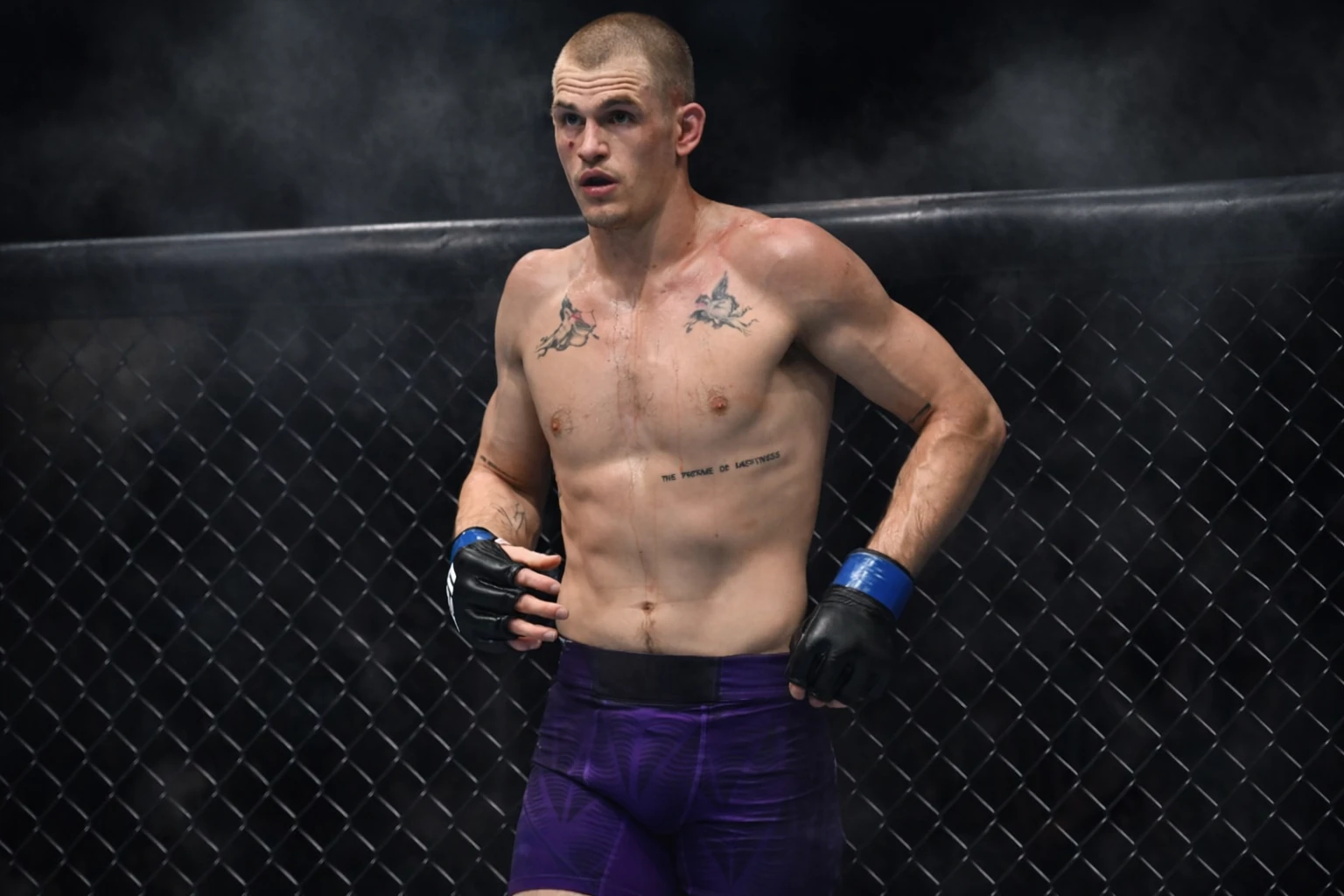 Official UFC 330 Poster Unveiled for Dual Title Fights in Philadelphia